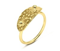 Gold Plated Silver Rings NSR-2814-GP